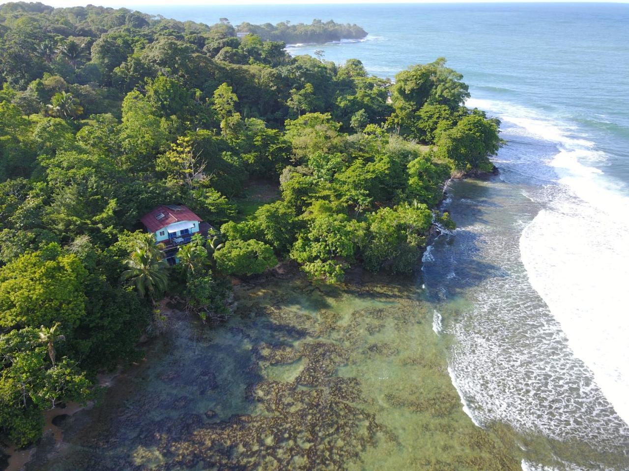 Mosana Reef Garden B&B Bocas Town Exterior foto