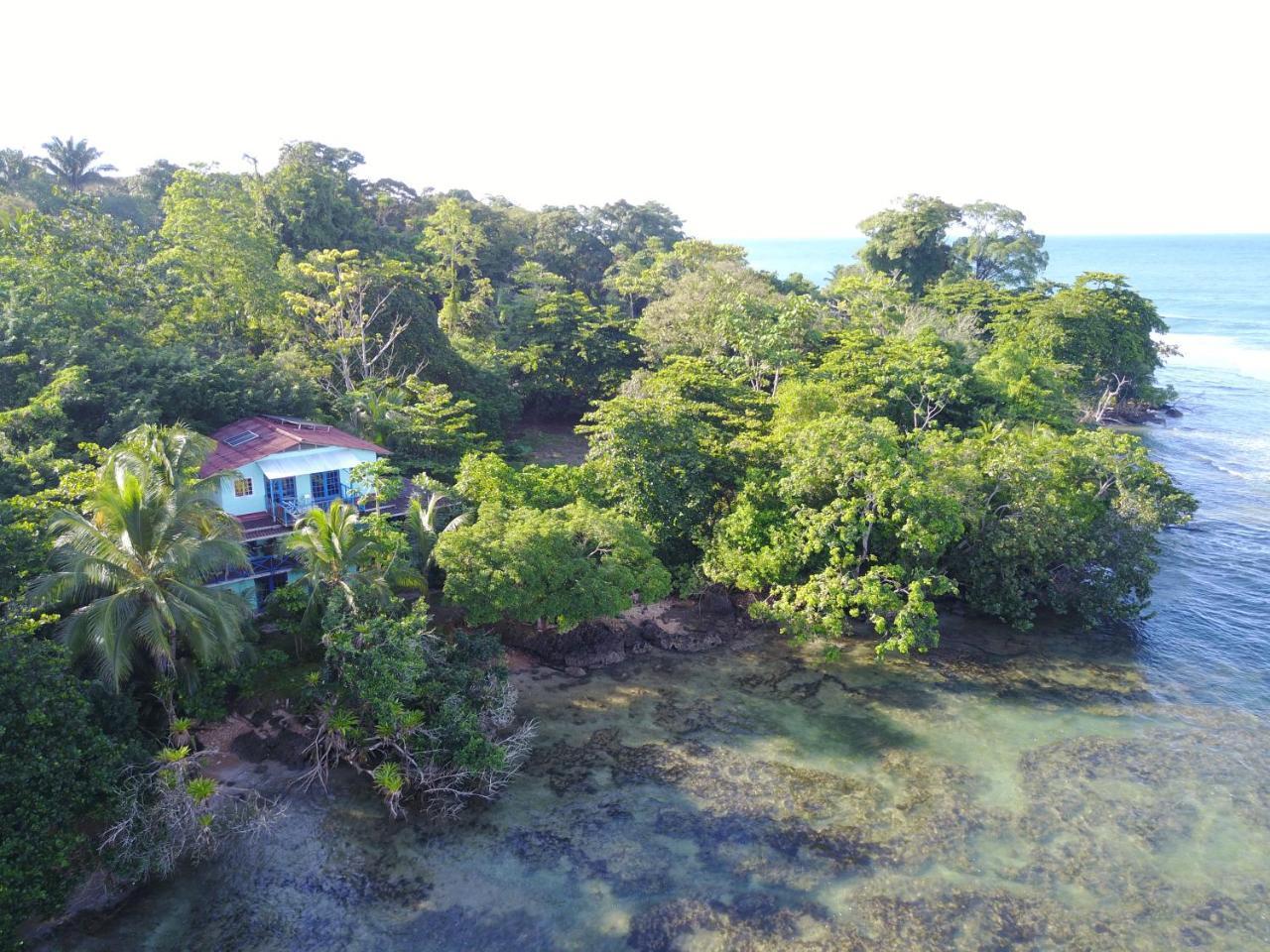 Mosana Reef Garden B&B Bocas Town Exterior foto