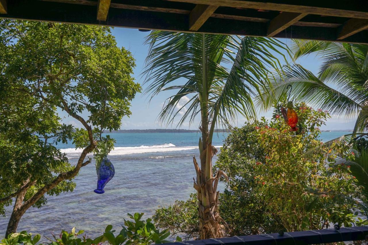 Mosana Reef Garden B&B Bocas Town Exterior foto