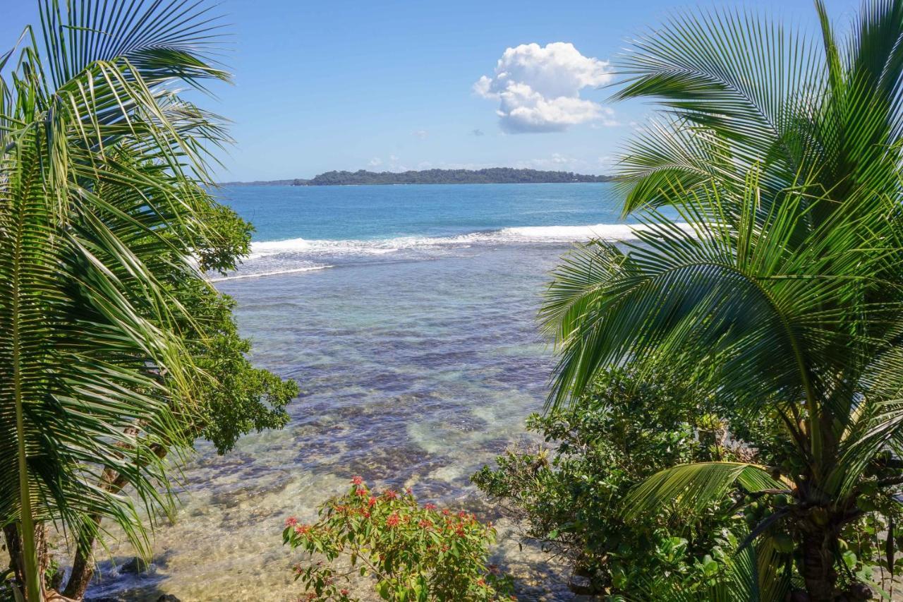 Mosana Reef Garden B&B Bocas Town Exterior foto